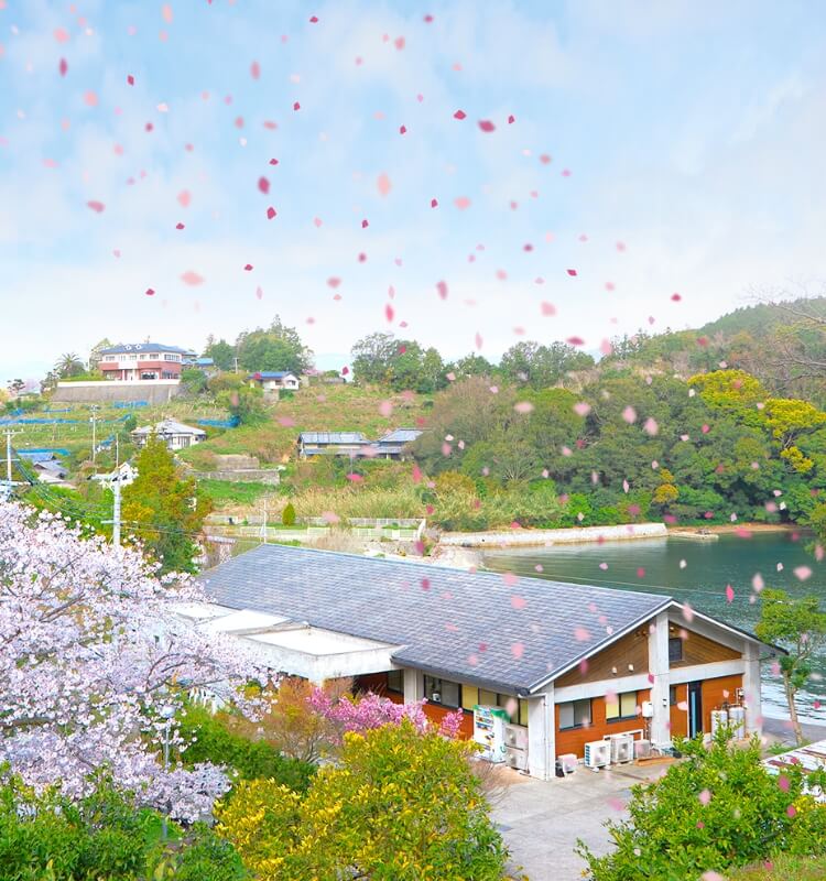 長崎市　桜の庵